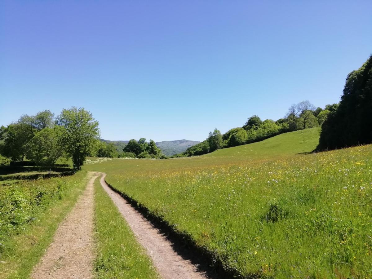 Maison A La Campagne Au Coeur Du Cantal Dept 15 Marmanhac Ngoại thất bức ảnh